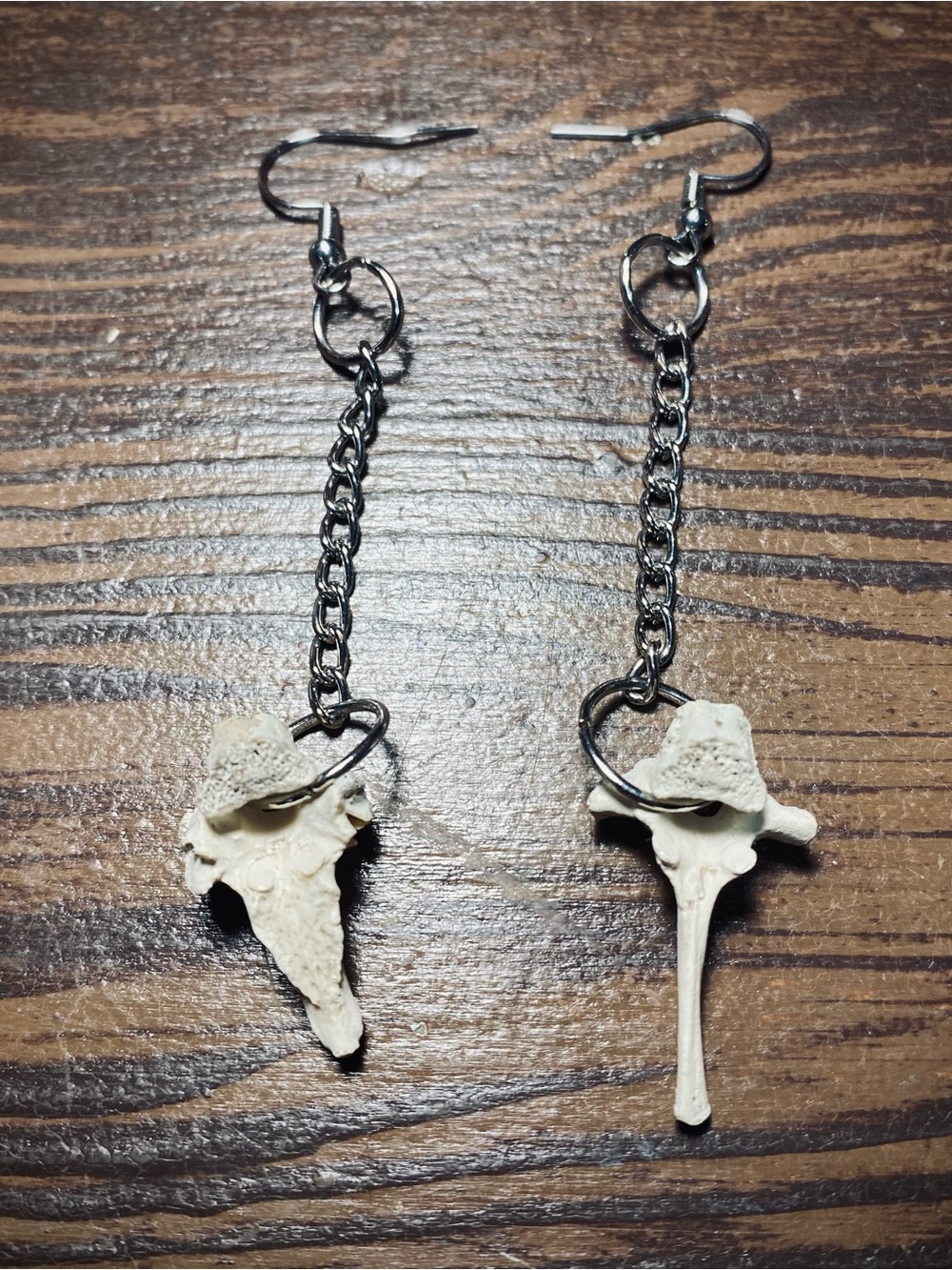 Painted Possum vertebrae bone chain earrings